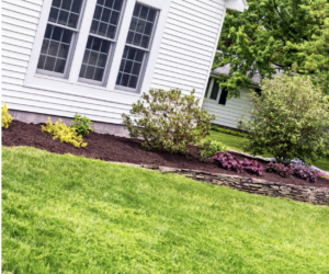 Mulch vs. Stone - Landscaping Ideas 
